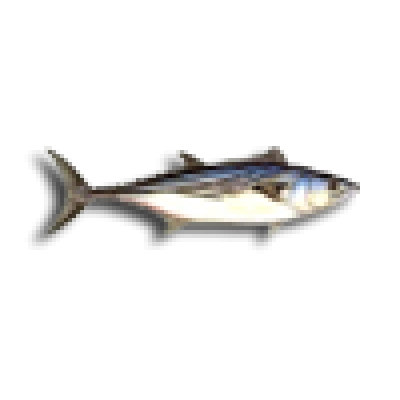 bonita fish prism