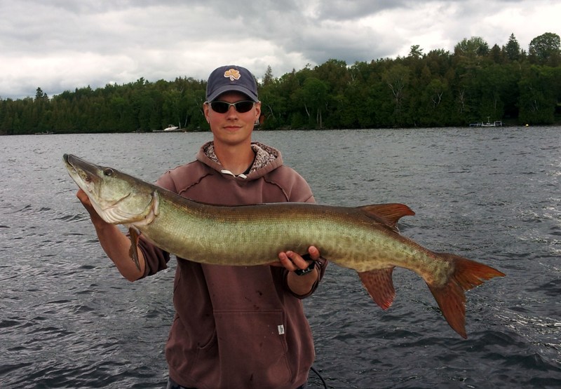 8/'6/" 1pc Musky Rod Muskie Northern Pike Striper Bass Tarpon Catfish Saltwater