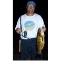 Bass