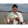 Crappie Panfish