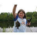 Crappie Panfish