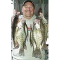 Crappie & Panfish