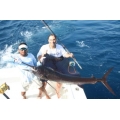 Sailfish