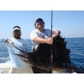 Sailfish