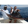 Sailfish