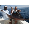 Sailfish