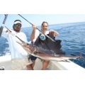 Sailfish