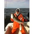 Striper