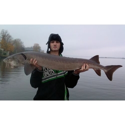 Monster Wisconsin Sturgeon