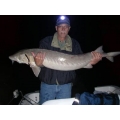 Sturgeon