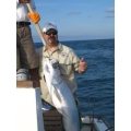 Tarpon