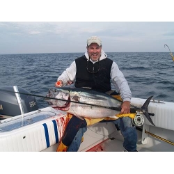 Huge Bluefin Tuna