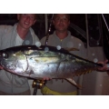 Yellowfin