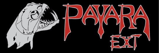 Payara Featherweight & EXT Series